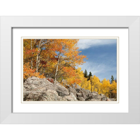 USA, Colorado, Rocky Mountain NP Autumn scenic White Modern Wood Framed Art Print with Double Matting by Bush, Marie