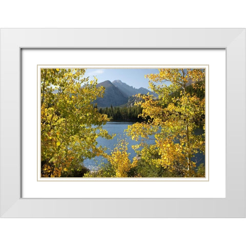 CO, Rocky Mts Bear Lake and Longs Peak, autumn White Modern Wood Framed Art Print with Double Matting by Bush, Marie