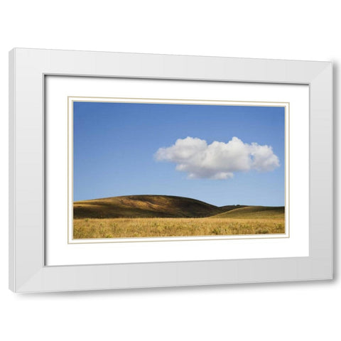 Colorado, San Juan Mts Landscape of Wilson Mesa White Modern Wood Framed Art Print with Double Matting by Bush, Marie