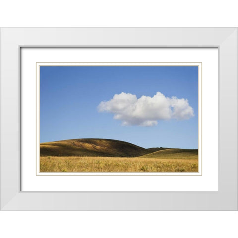 Colorado, San Juan Mts Landscape of Wilson Mesa White Modern Wood Framed Art Print with Double Matting by Bush, Marie