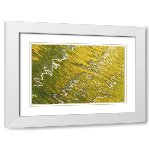 Colorado, San Juan Mts Reflection in Woods Lake White Modern Wood Framed Art Print with Double Matting by Bush, Marie