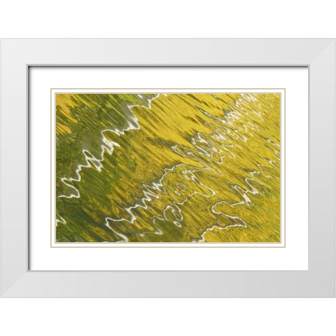 Colorado, San Juan Mts Reflection in Woods Lake White Modern Wood Framed Art Print with Double Matting by Bush, Marie