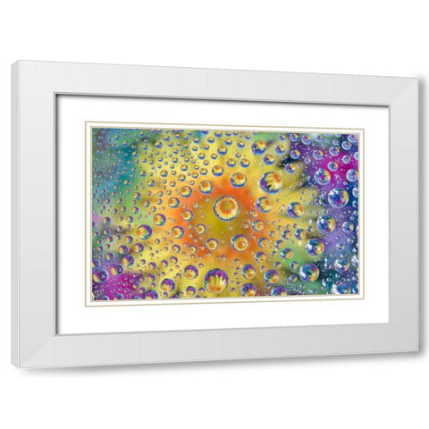 Colorado, Lafayette Abstract Water bubbles White Modern Wood Framed Art Print with Double Matting by Bush, Marie