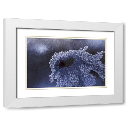 CO, Boulder Ice pattern in South Boulder Creek White Modern Wood Framed Art Print with Double Matting by Bush, Marie