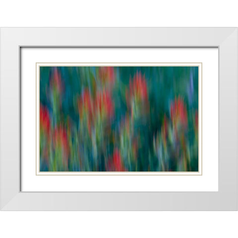 USA, Colorado, Crested Butte Flower abstract White Modern Wood Framed Art Print with Double Matting by Bush, Marie