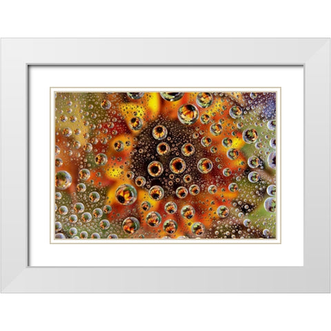 CO, Lafayette Water bubbles on glass table top White Modern Wood Framed Art Print with Double Matting by Bush, Marie