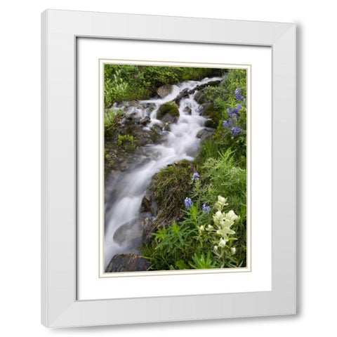 Colorado, Crested Butte Stream and flowers White Modern Wood Framed Art Print with Double Matting by Bush, Marie