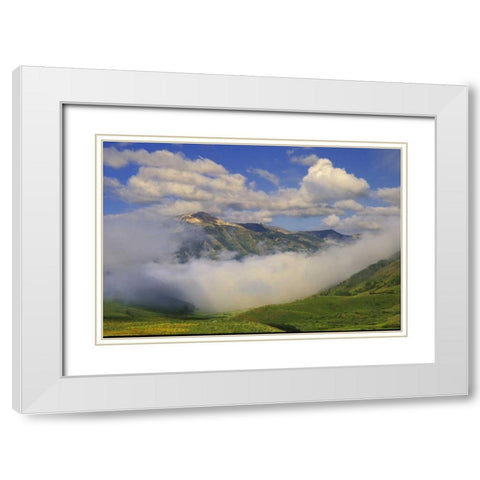 Colorado, Fog and mountain landscape White Modern Wood Framed Art Print with Double Matting by Rotenberg, Nancy