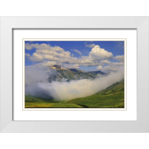 Colorado, Fog and mountain landscape White Modern Wood Framed Art Print with Double Matting by Rotenberg, Nancy