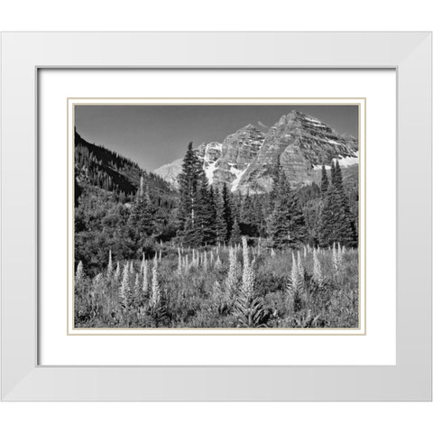 CO, White Mountain NF Maroon Bells and meadow White Modern Wood Framed Art Print with Double Matting by Flaherty, Dennis