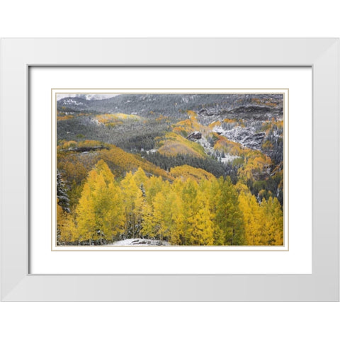 Colorado, San Juan Mountains Autumn snowfall White Modern Wood Framed Art Print with Double Matting by Grall, Don