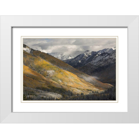 CO, San Juan Mts Red Mountain Pass after snow White Modern Wood Framed Art Print with Double Matting by Grall, Don