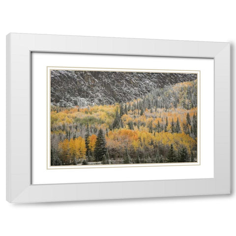 Colorado, San Juan Mountains Autumn snowfall White Modern Wood Framed Art Print with Double Matting by Grall, Don
