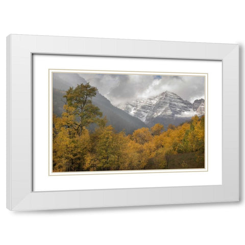 CO Autumn sunrise on Maroon Bells mountains White Modern Wood Framed Art Print with Double Matting by Grall, Don