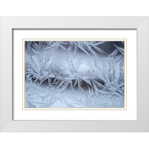 USA, Colorado, Denver Frost on a window White Modern Wood Framed Art Print with Double Matting by Illg, Cathy and Gordon
