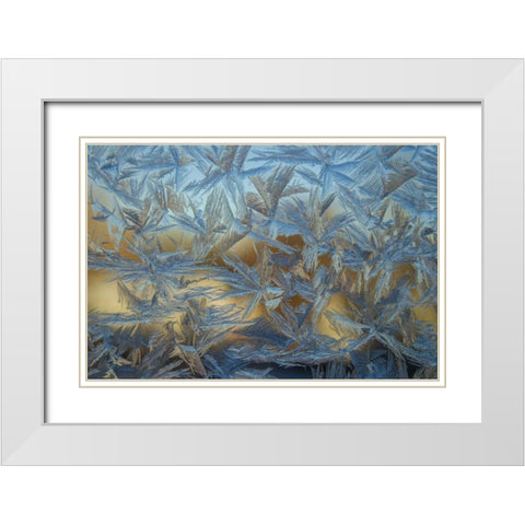 USA, Colorado, Denver Frost on a window White Modern Wood Framed Art Print with Double Matting by Illg, Cathy and Gordon