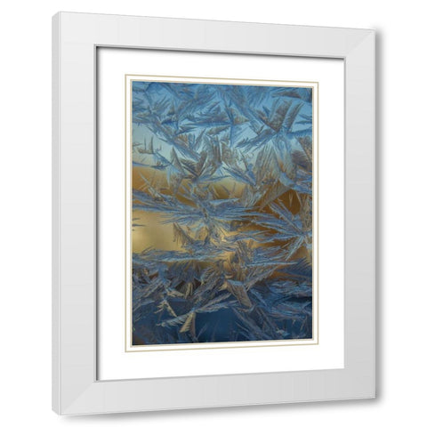 USA, Colorado, Denver Frost on a window White Modern Wood Framed Art Print with Double Matting by Illg, Cathy and Gordon