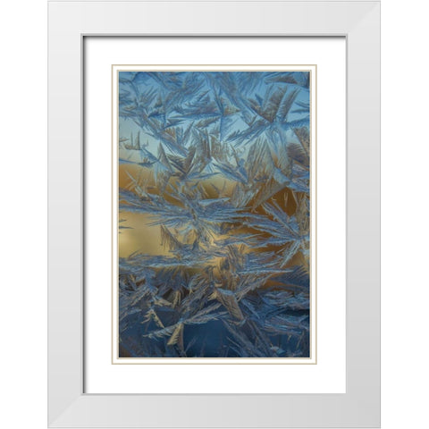 USA, Colorado, Denver Frost on a window White Modern Wood Framed Art Print with Double Matting by Illg, Cathy and Gordon