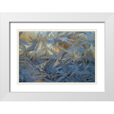 USA, Colorado, Denver Frost on a window White Modern Wood Framed Art Print with Double Matting by Illg, Cathy and Gordon