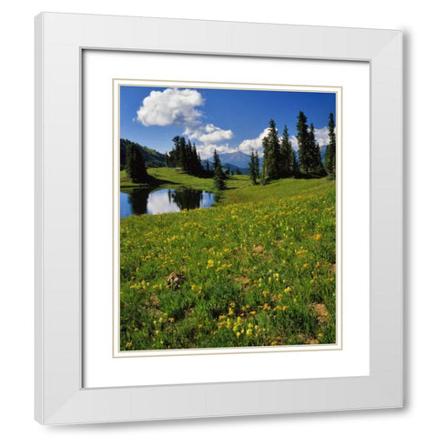 CO, Paradise Divide View of Whetstone Mountain White Modern Wood Framed Art Print with Double Matting by Terrill, Steve