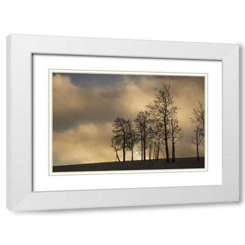 CO, Pike NF Sunrise on clouds and aspen trees White Modern Wood Framed Art Print with Double Matting by Grall, Don