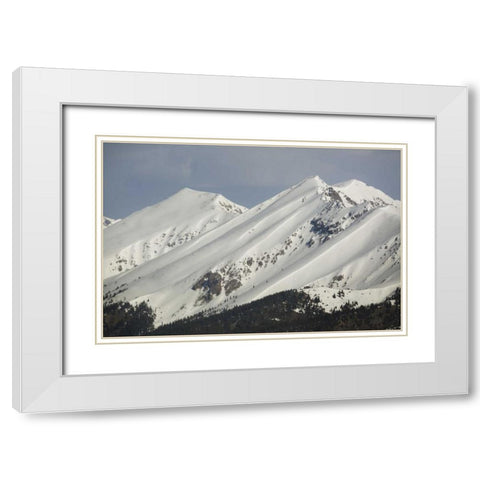 Colorado Fresh spring snow coats Sawatch Range White Modern Wood Framed Art Print with Double Matting by Grall, Don