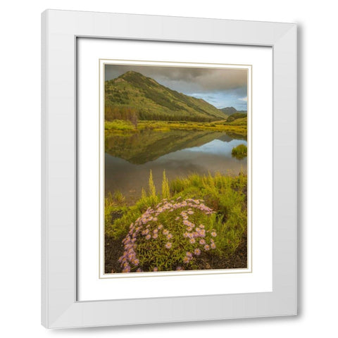 CO, Gunnison NF Asters and pond White Modern Wood Framed Art Print with Double Matting by Illg, Cathy and Gordon
