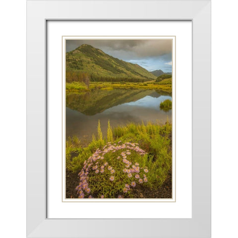 CO, Gunnison NF Asters and pond White Modern Wood Framed Art Print with Double Matting by Illg, Cathy and Gordon