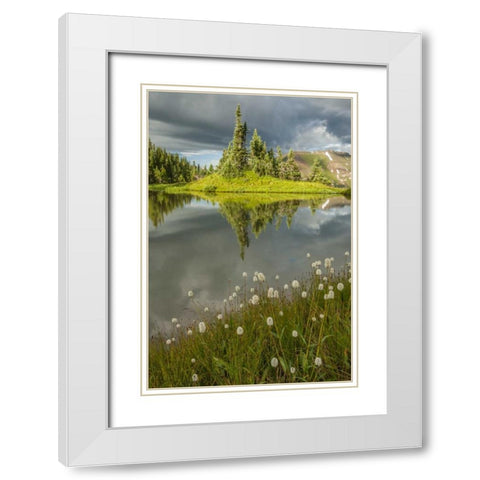 Colorado Paradise Divide and pond reflection White Modern Wood Framed Art Print with Double Matting by Illg, Cathy and Gordon