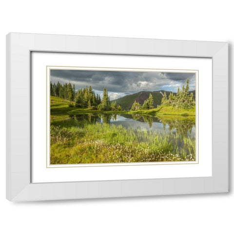 Colorado Paradise Divide and pond reflection White Modern Wood Framed Art Print with Double Matting by Illg, Cathy and Gordon