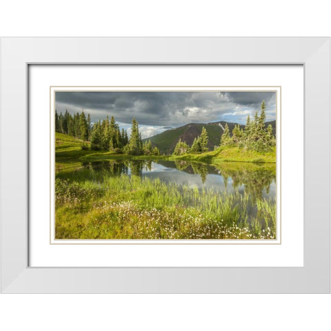Colorado Paradise Divide and pond reflection White Modern Wood Framed Art Print with Double Matting by Illg, Cathy and Gordon