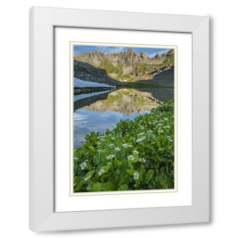CO, San Juan Mts Lake reflection and marigolds White Modern Wood Framed Art Print with Double Matting by Illg, Cathy and Gordon