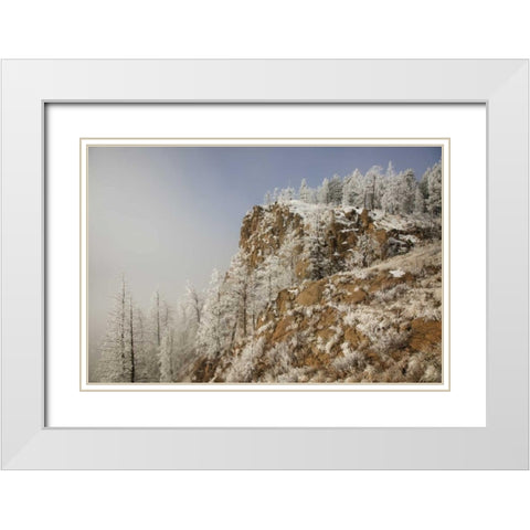 Colorado, Pike NF Hoarfrost on trees and grass White Modern Wood Framed Art Print with Double Matting by Grall, Don