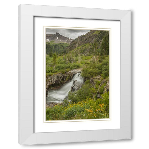 CO, San Juan Mts Waterfall in Yankee Boy Basin White Modern Wood Framed Art Print with Double Matting by Illg, Cathy and Gordon