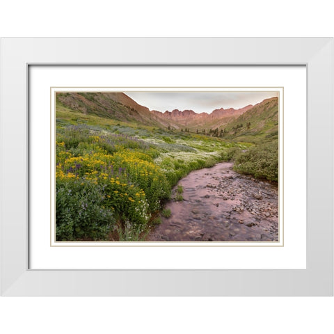 USA-Colorado Mountain landscape with wildflowers and stream White Modern Wood Framed Art Print with Double Matting by Jaynes Gallery