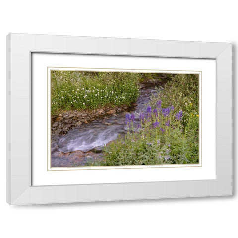 USA-Colorado Mountain wildflowers and stream White Modern Wood Framed Art Print with Double Matting by Jaynes Gallery