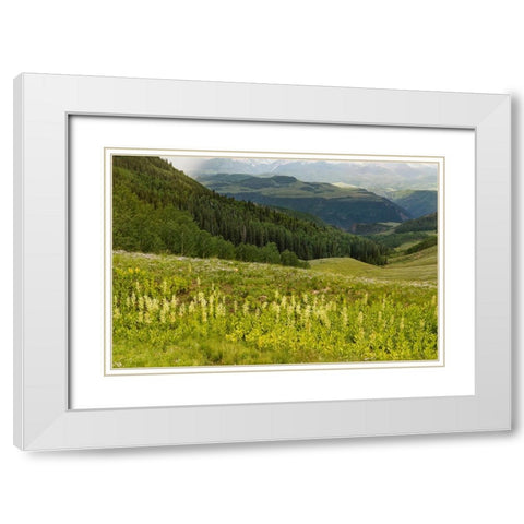 USA-Colorado-San Juan Mountains Summer mountain landscape White Modern Wood Framed Art Print with Double Matting by Jaynes Gallery