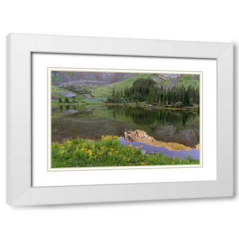 USA-Colorado-Uncompahgre National Forest Mountain wildflowers and pond landscape White Modern Wood Framed Art Print with Double Matting by Jaynes Gallery