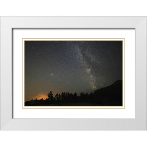 USA-Colorado-Eleven Mile Canyon The Milky Way galaxy and forest silhouette at night White Modern Wood Framed Art Print with Double Matting by Jaynes Gallery
