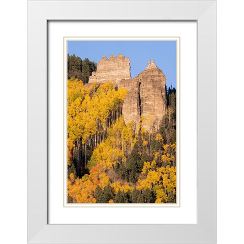 USA-Colorado-Uncompahgre National Forest Pinnacle Ridge towers over aspens in autumn White Modern Wood Framed Art Print with Double Matting by Jaynes Gallery