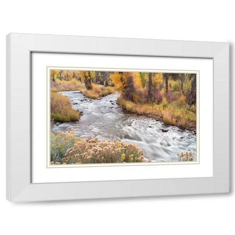 USA-Colorado-White River National Forest Fryingpan River and autumn foliage White Modern Wood Framed Art Print with Double Matting by Jaynes Gallery