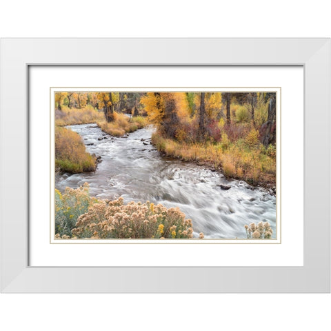 USA-Colorado-White River National Forest Fryingpan River and autumn foliage White Modern Wood Framed Art Print with Double Matting by Jaynes Gallery