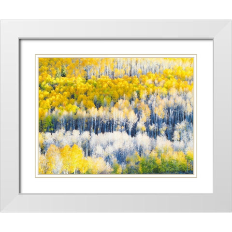 Colorado-Maroon Bells-Snowmass Wilderness Fall colors on Aspen trees White Modern Wood Framed Art Print with Double Matting by Eggers, Julie