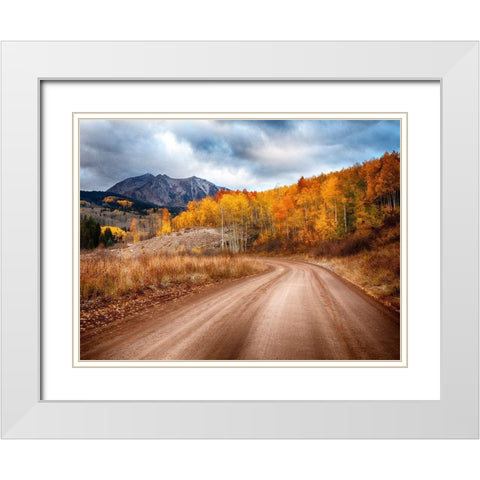 Colorado-San Juan Mts Road leading through an aspen grove towards East Beckwith Mountain White Modern Wood Framed Art Print with Double Matting by Eggers, Julie