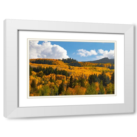 Two Creeks area of Aspen Snowmass ski resort in autumn White Modern Wood Framed Art Print with Double Matting by Ostrowitz, Mallorie