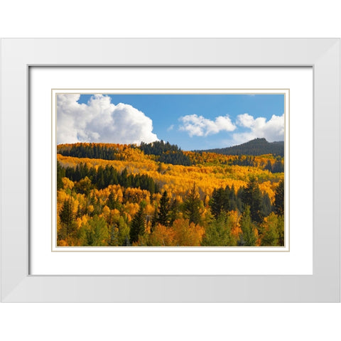Two Creeks area of Aspen Snowmass ski resort in autumn White Modern Wood Framed Art Print with Double Matting by Ostrowitz, Mallorie
