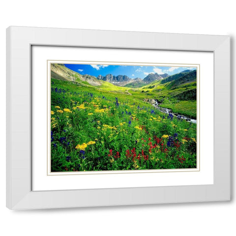 Spring is graced with American Basin wildflowers in the Colorado Rocky Mountains White Modern Wood Framed Art Print with Double Matting by SMO