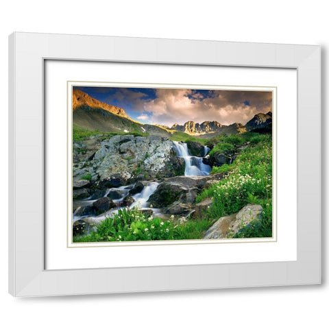 A spring cascade with white wildflowers in American Basin in the Colorado Rocky Mountains White Modern Wood Framed Art Print with Double Matting by SMO