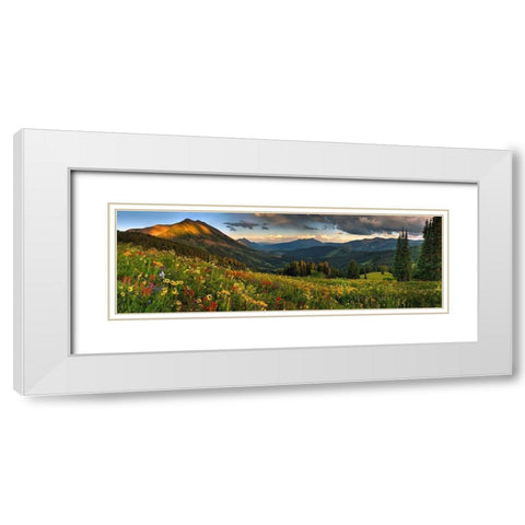 Colorado-Crested Butte-wildflowers White Modern Wood Framed Art Print with Double Matting by SMO