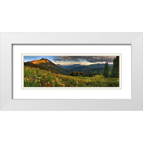 Colorado-Crested Butte-wildflowers White Modern Wood Framed Art Print with Double Matting by SMO